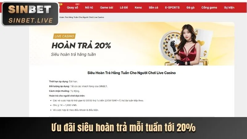 Hoàn trả hàng ngày tại casino bl555